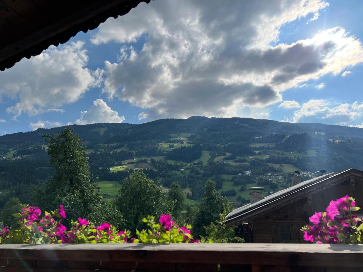 Ferienwohnung Gamsbock Panorama View Balkon, Gartensauna, Garten, Grillplatz Stumm Dış mekan fotoğraf