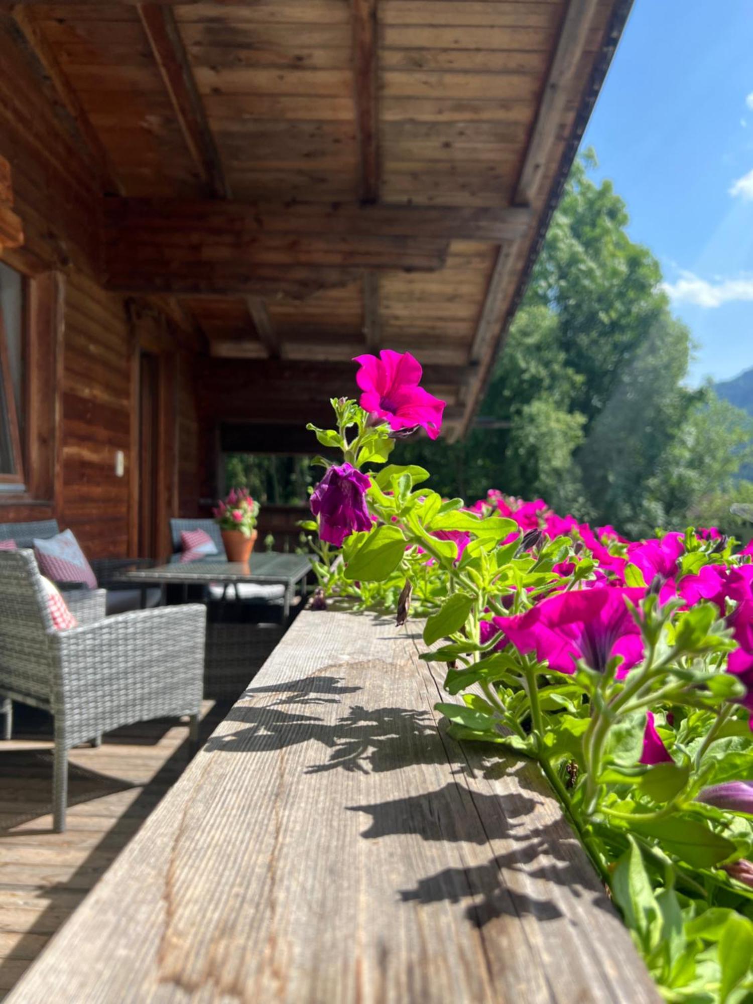 Ferienwohnung Gamsbock Panorama View Balkon, Gartensauna, Garten, Grillplatz Stumm Dış mekan fotoğraf